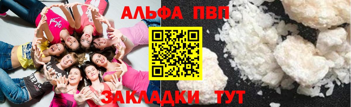 A PVP СК Саратов