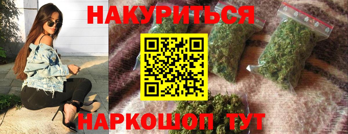 Каннабис Bruce Banner  МАРИХУАНА план  Каннабис планчик  Марихуана тримм  Саратов  Вход с VPN 